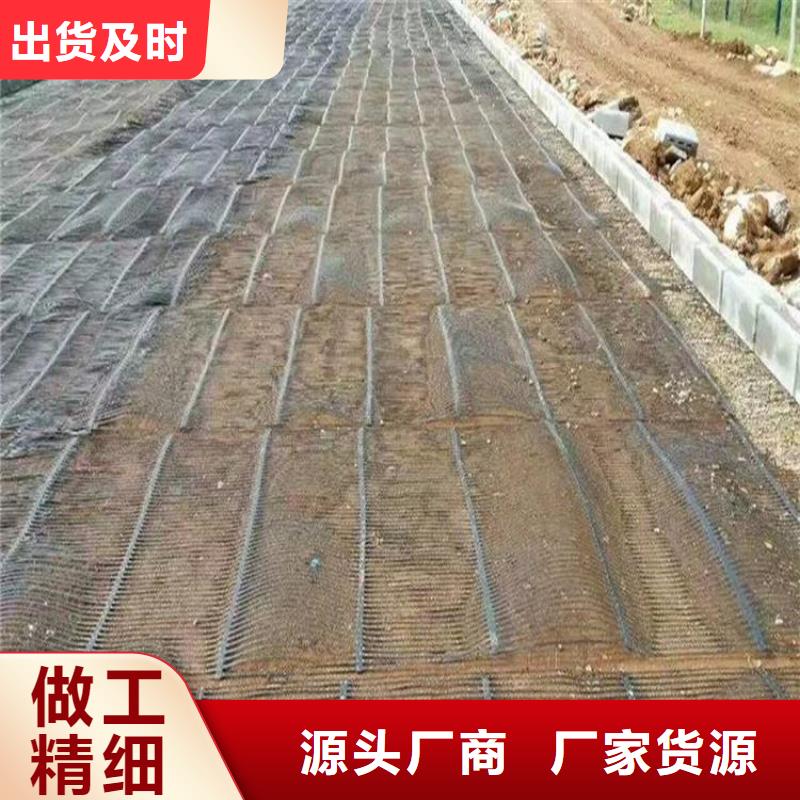 单向塑料土工格栅【土工格室】性价比高