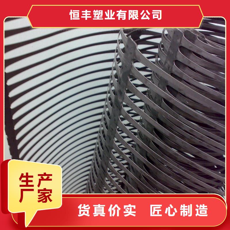 单向塑料土工格栅三维土工网垫有实力有经验