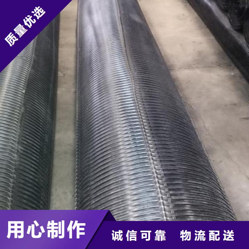 单向塑料土工格栅三维土工网垫有实力有经验