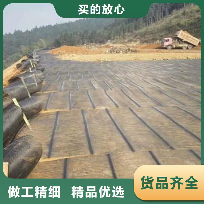 单向塑料土工格栅【土工格室】性价比高