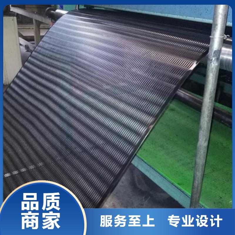 单向塑料土工格栅三维土工网垫有实力有经验