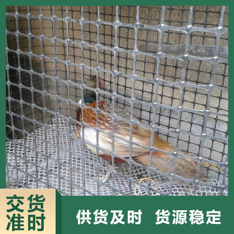 双向塑料土工格栅PVC防水卷材为您提供一站式采购服务