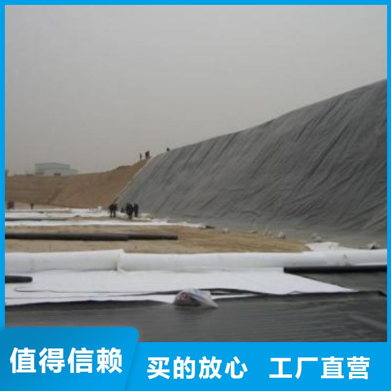 土工膜HDPE黑色土工膜当日价格