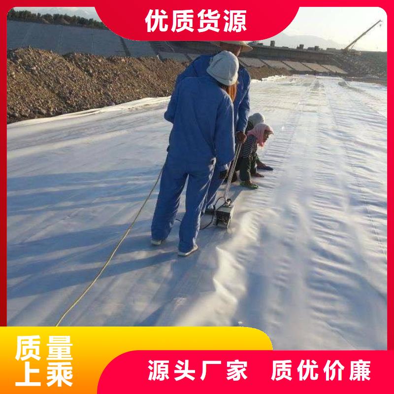 复合土工膜PVC防水卷材品质服务