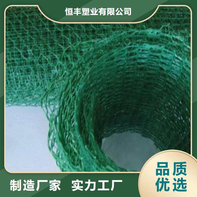 【三维植被网】蜂巢格室专注细节使用放心同城经销商