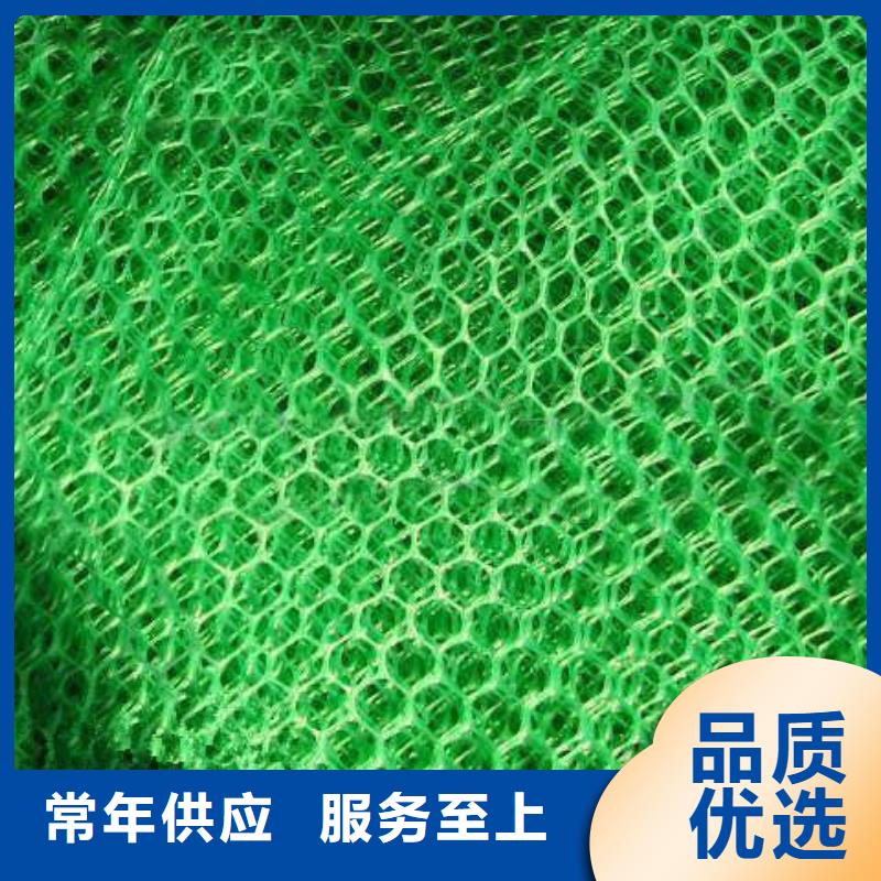 【三维植被网】蜂巢格室专注细节使用放心同城经销商
