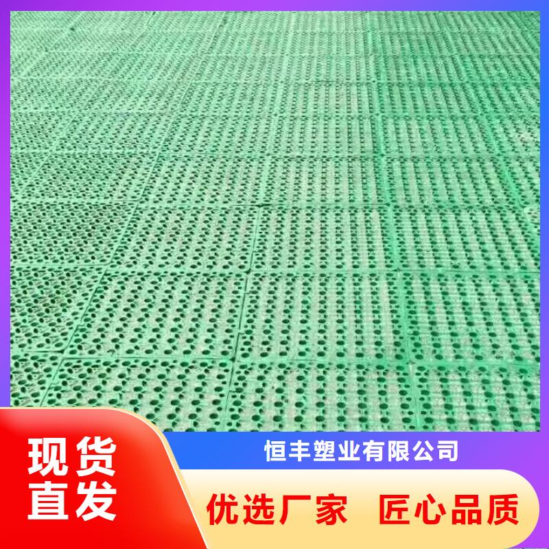 【三维植被网】蜂巢格室专注细节使用放心同城经销商