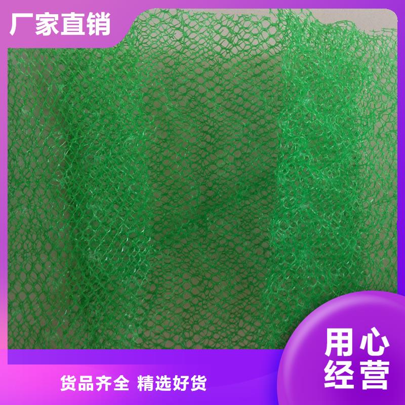【三维植被网】蜂巢格室专注细节使用放心同城经销商
