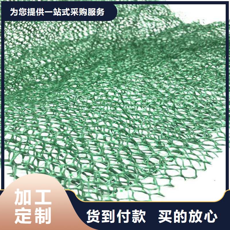 【三维植被网】蜂巢格室专注细节使用放心同城经销商