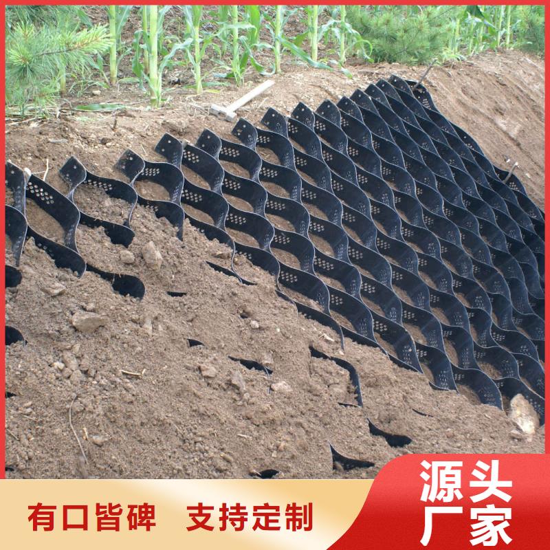 土工格室膨润土防水毯厂家直接面向客户