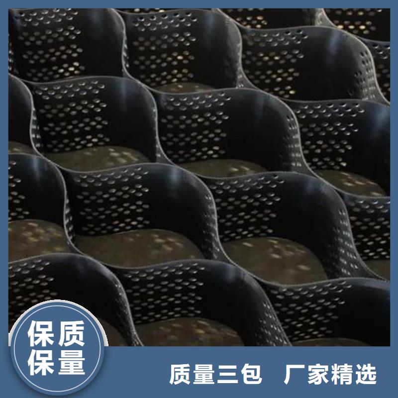 土工格室双向塑料土工格栅货品齐全