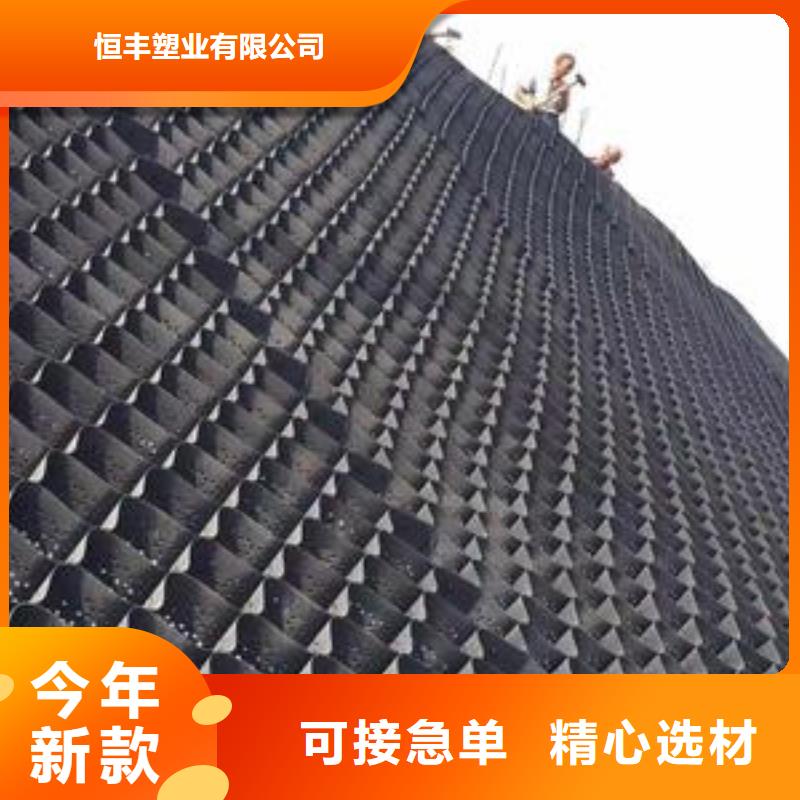 土工格室,蜂巢格室支持定制贴心售后