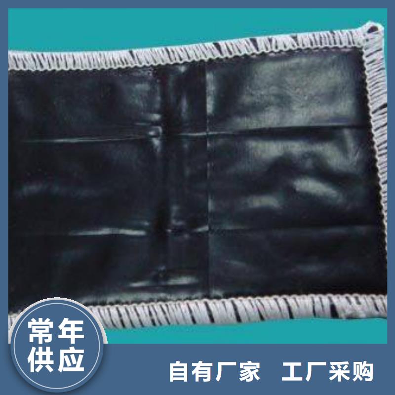 膨润土防水毯双向拉伸塑料格栅源厂直销
