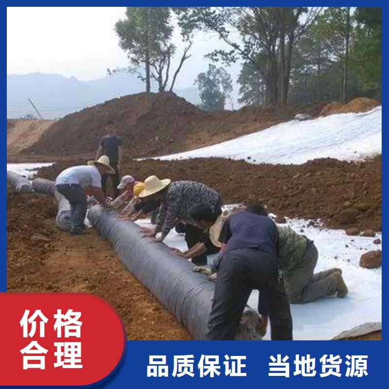 膨润土防水毯双向拉伸塑料格栅源厂直销