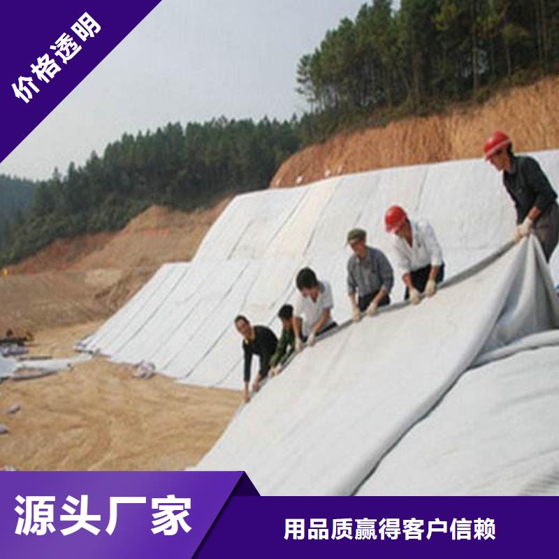 膨润土防水毯_【HDPE土工膜】买的放心