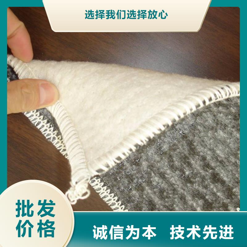 膨润土防水毯PP焊接土工格栅自产自销