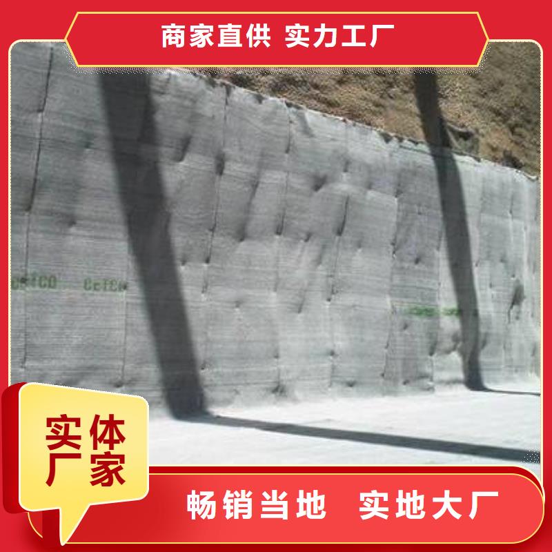 膨润土防水毯_【HDPE土工膜】买的放心
