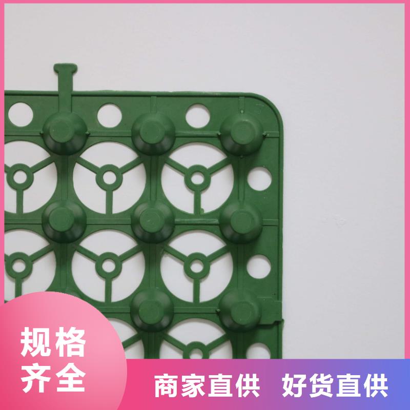 【排水板】 三维植被网真材实料由恒丰为您