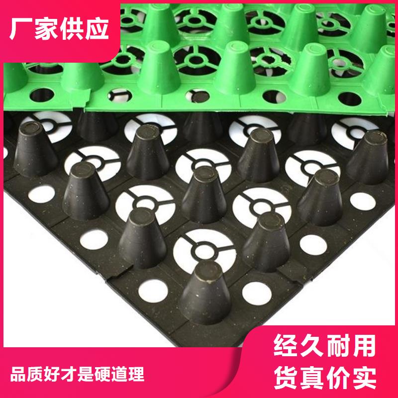 排水板PVC防水卷材品类齐全