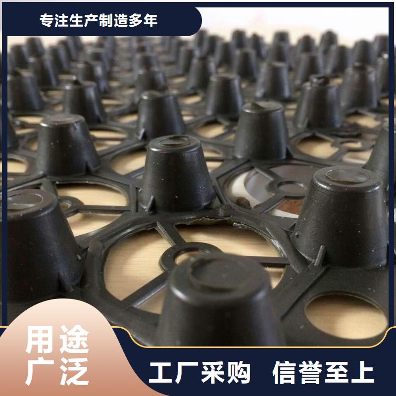【排水板】 三维植被网真材实料由恒丰为您