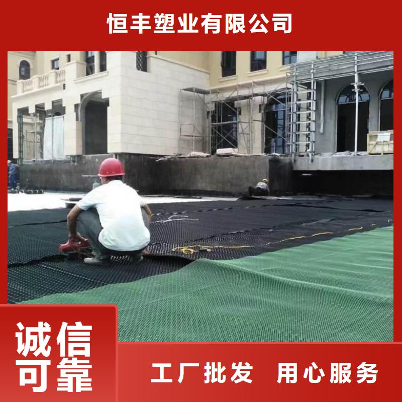 【排水板】 三维植被网真材实料由恒丰为您