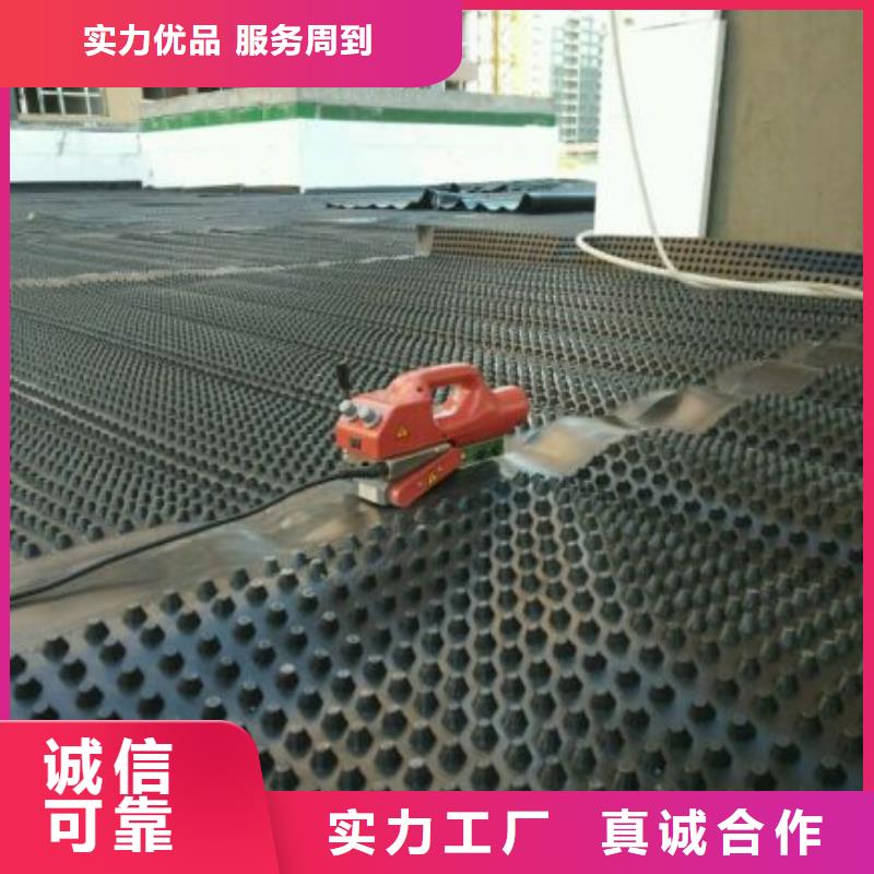 排水板-防渗土工膜精心
