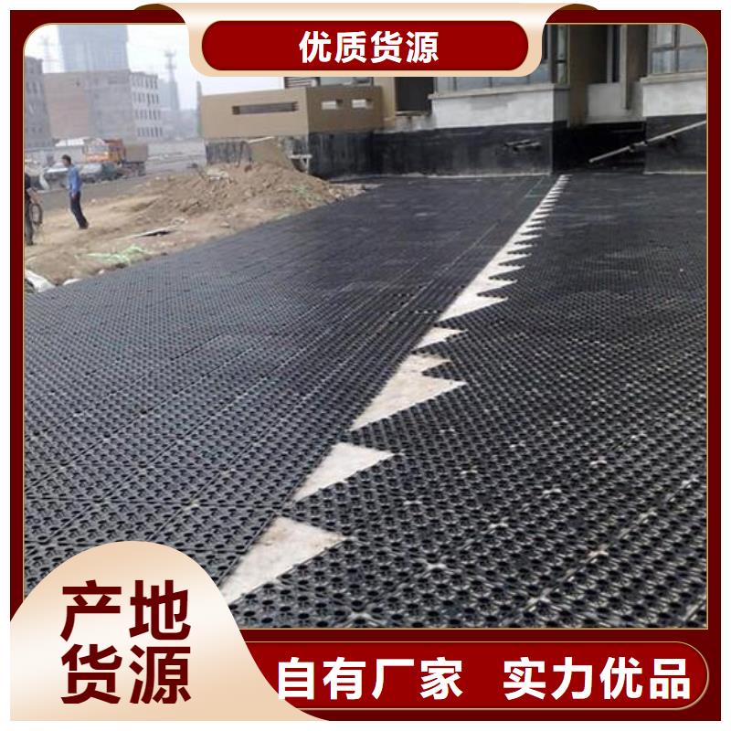 排水板PVC防水卷材品类齐全