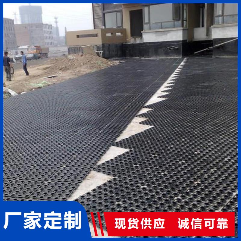 排水板-塑料土工滤网货源稳定