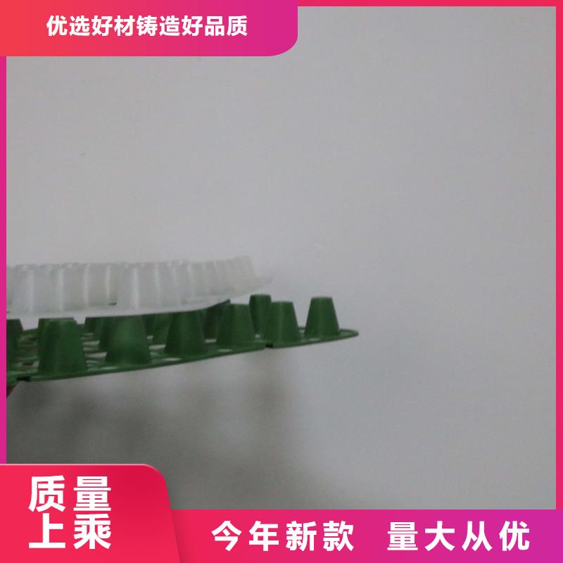 【排水板】 三维植被网真材实料由恒丰为您