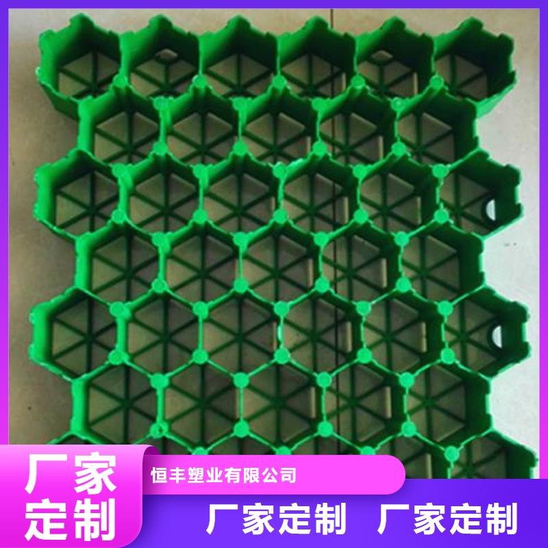 植草格土工HDPE膜现货直供