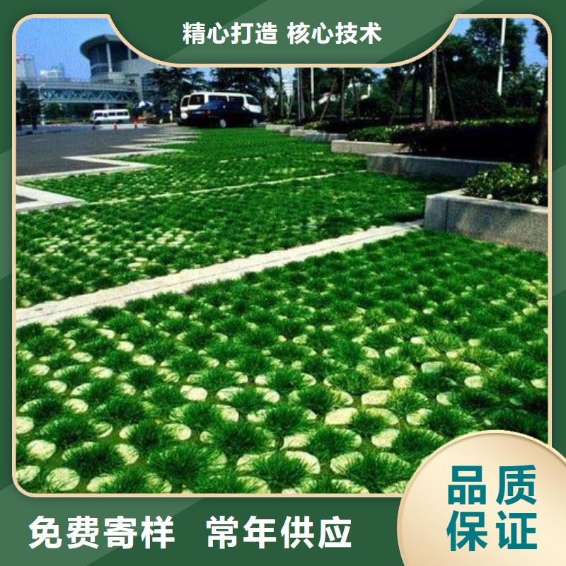 植草格单向塑料土工格栅为您提供一站式采购服务