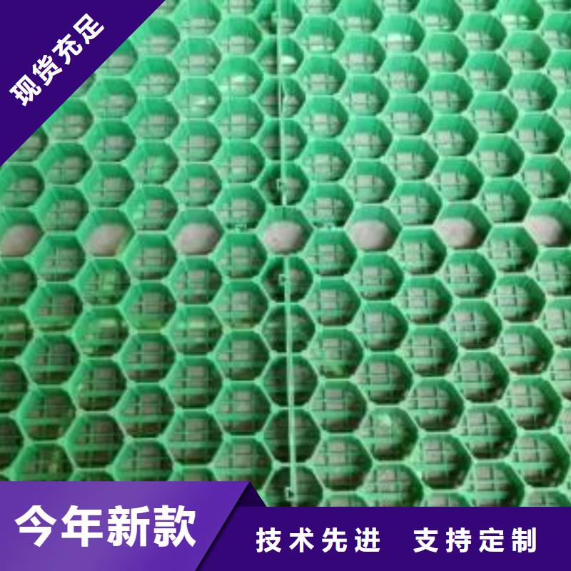 植草格土工HDPE膜现货直供