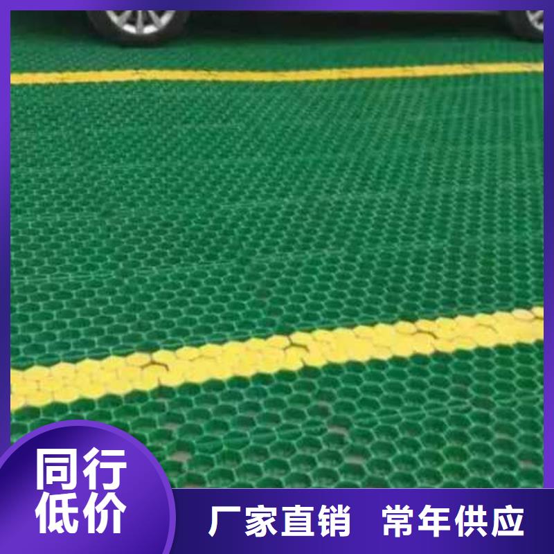 植草格单向塑料土工格栅为您提供一站式采购服务