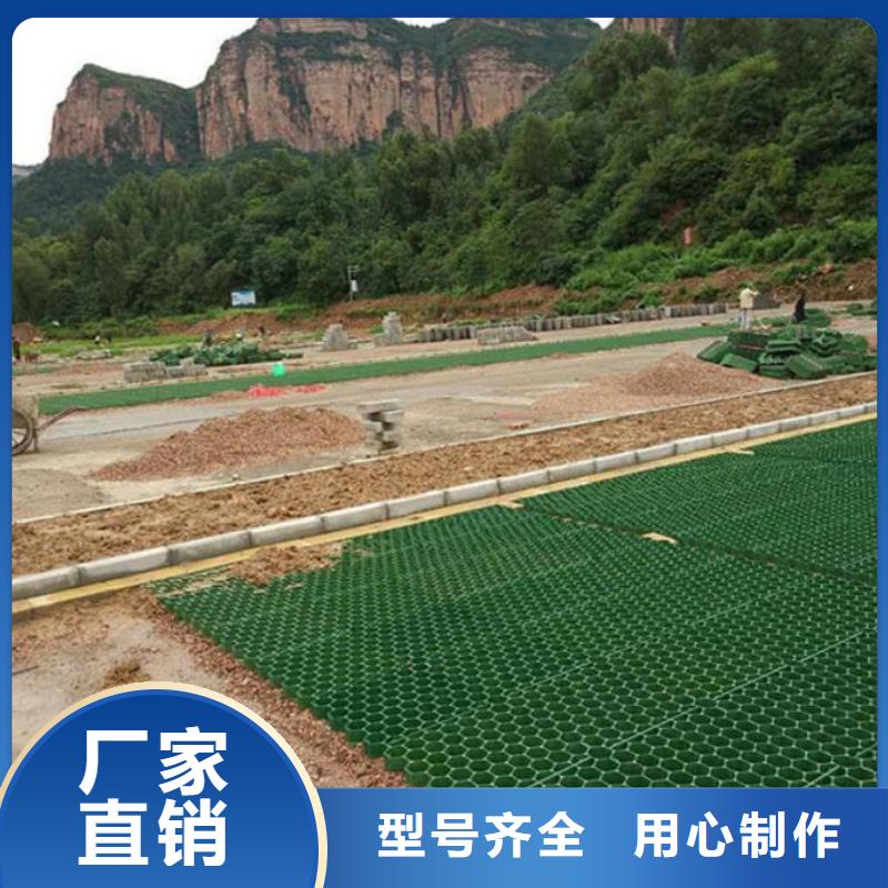 植草格土工HDPE膜现货直供