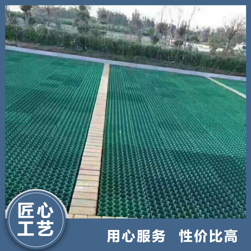 植草格土工HDPE膜现货直供