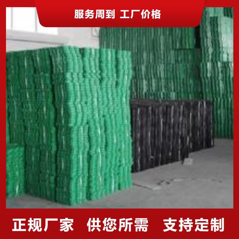 植草格土工HDPE膜现货直供