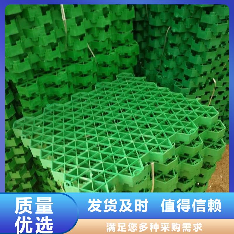 植草格塑料土工滤网厂家实力雄厚