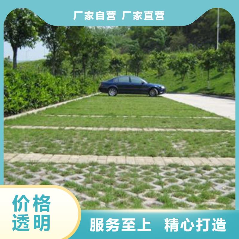 植草格塑料土工滤网厂家实力雄厚
