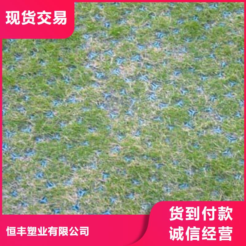 植草格土工HDPE膜现货直供