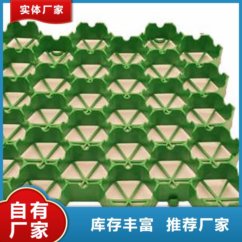 植草格土工HDPE膜现货直供