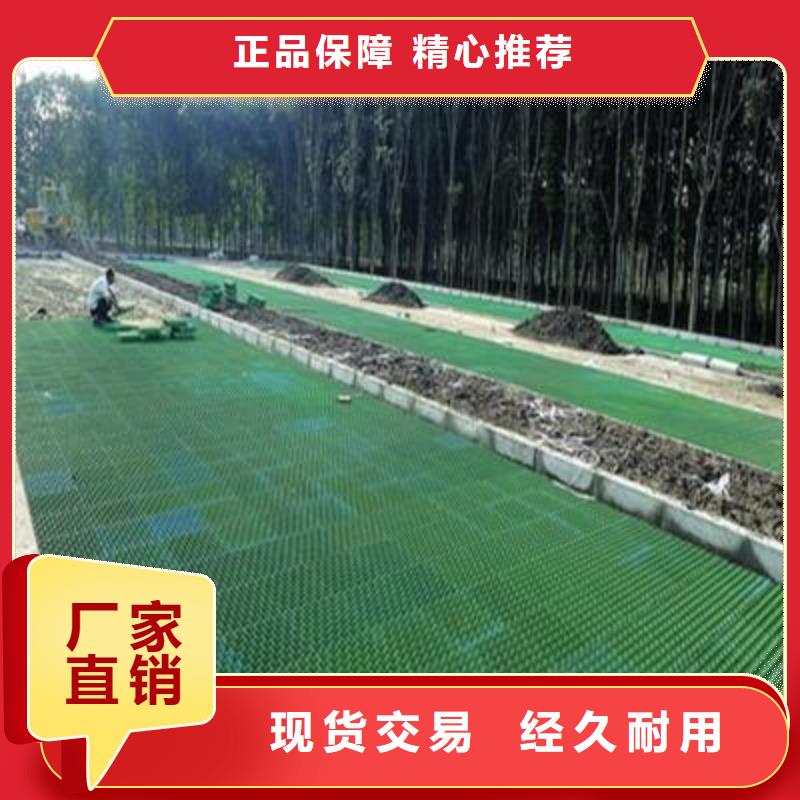 植草格土工HDPE膜现货直供