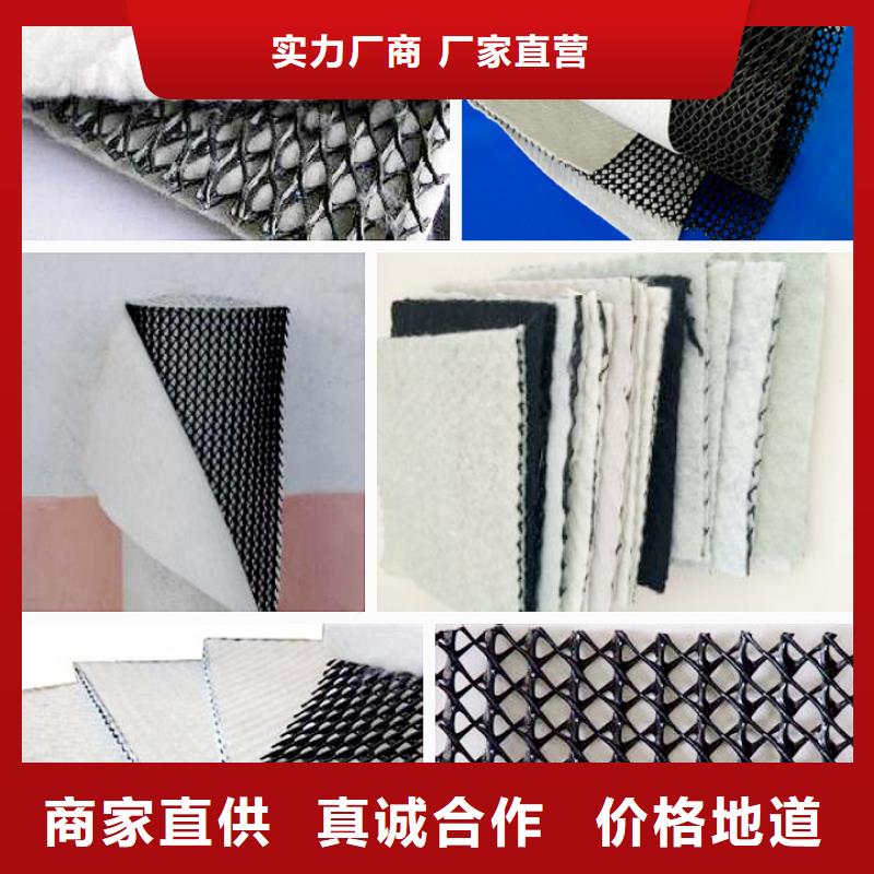 【 三维复合排水网-PP焊接土工格栅优选原材】-服务范围包括内丘|任县|廊坊|石家庄|衡水|保定|承德|邯郸|沧州等