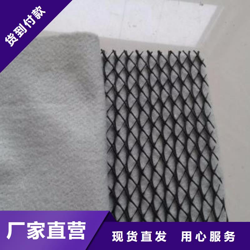【 三维复合排水网-PP焊接土工格栅优选原材】-服务范围包括内丘|任县|廊坊|石家庄|衡水|保定|承德|邯郸|沧州等