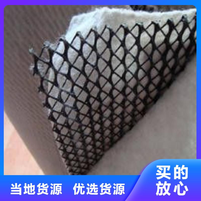 三维复合排水网PP焊接土工格栅厂家货源