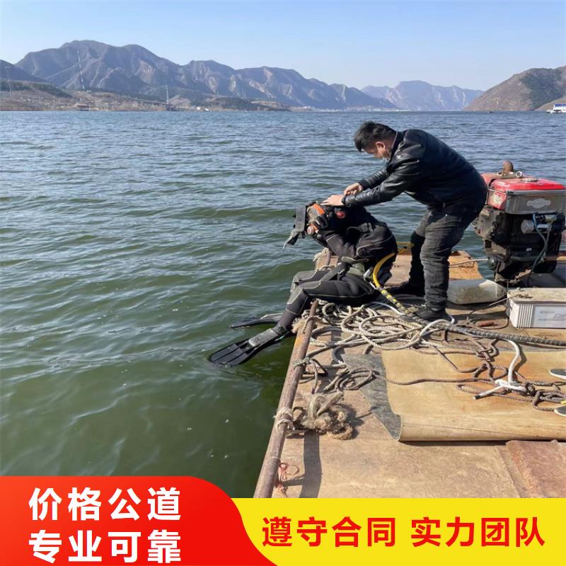 潜水员服务公司水下摄像检查维修施工多家服务案例