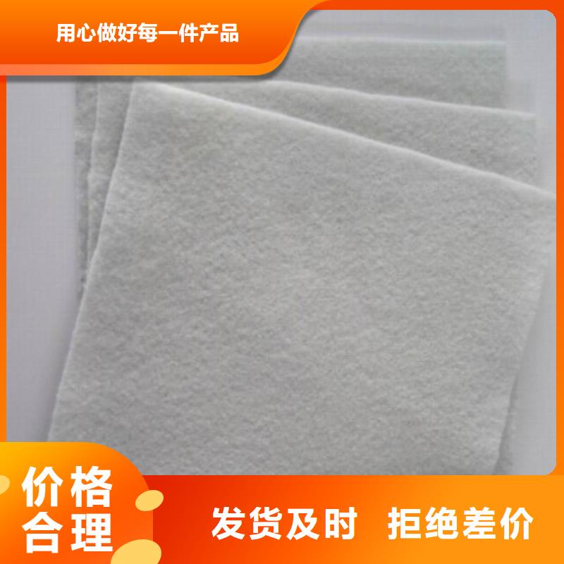 【土工布】-防水土工布好货有保障同城品牌