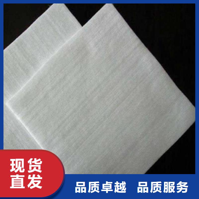 【土工布】-防水土工布好货有保障同城品牌