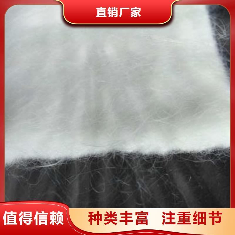 【土工布】-防水土工布好货有保障同城品牌