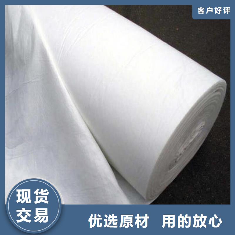 【土工布】-防水土工布好货有保障同城品牌