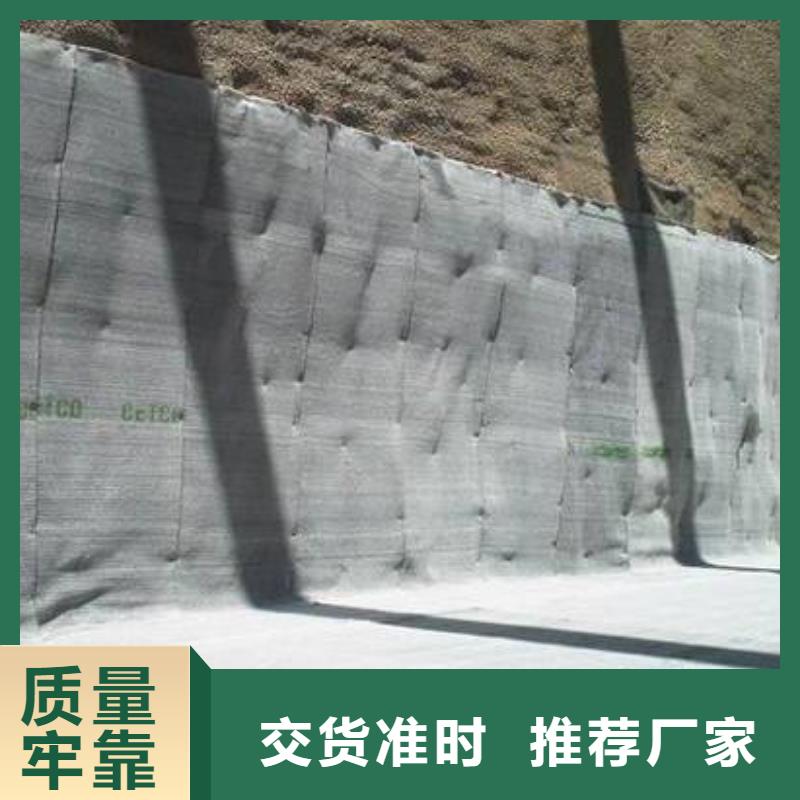 【膨润土防水毯】-透水土工布源头厂源头货